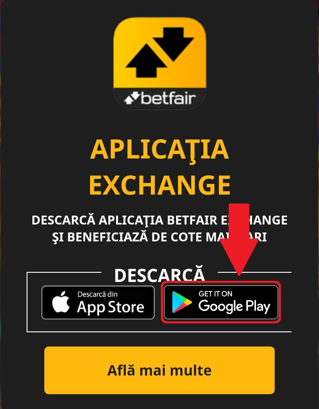 Betfair APP Exchange